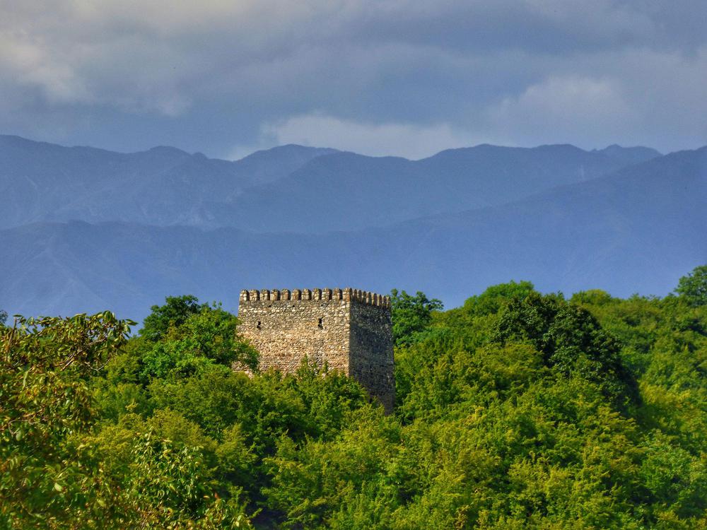 Tali Fortress: 17th Century Tower in Kakheti, 300m/984ft from Laliskuri