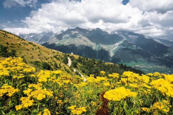 Great Caucasus Mountains & Meadows