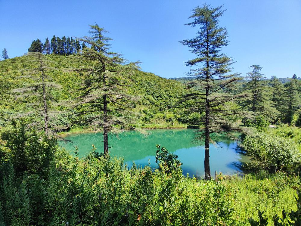 Exploring Papantskvili Lake: A Natural Haven in Samegrelo