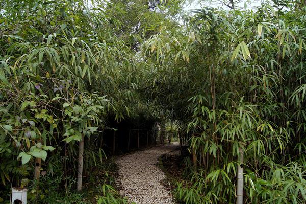 Kutaisi Botanical Garden