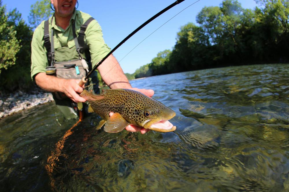 Experience the serenity of Georgia's nature with a private fishing tour