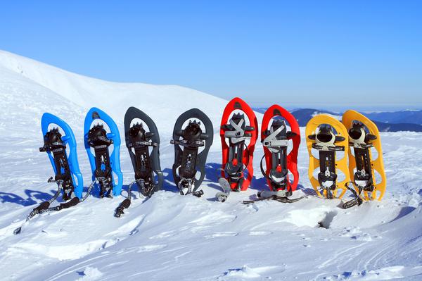 Snowshoes in Georgia's Mountains