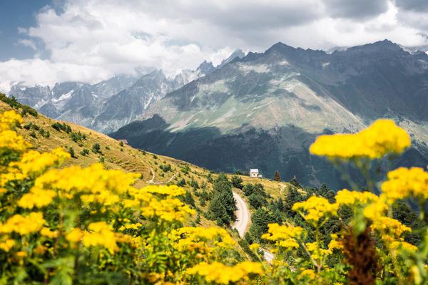 Great Caucasus Mountains & Meadows