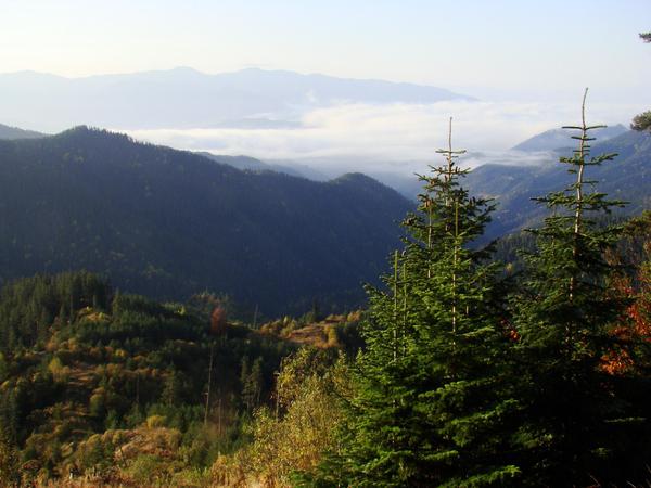 Borjomi-Kharagauli National Park