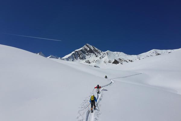 Embark on an unforgettable backcountry ski tour from Gudauri with expert guides