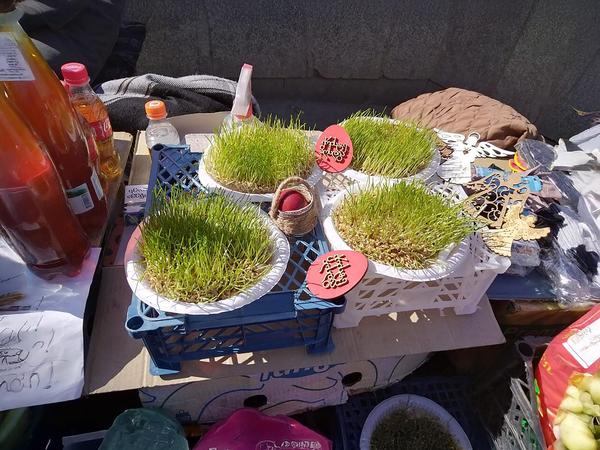 Traditional Georgian Easter decorations with sprouted wheat (Jejili) and red-dyed eggs at a market s