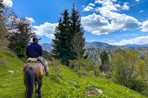 Experience Borjomi’s Beauty on a Private Guided Horse Ride