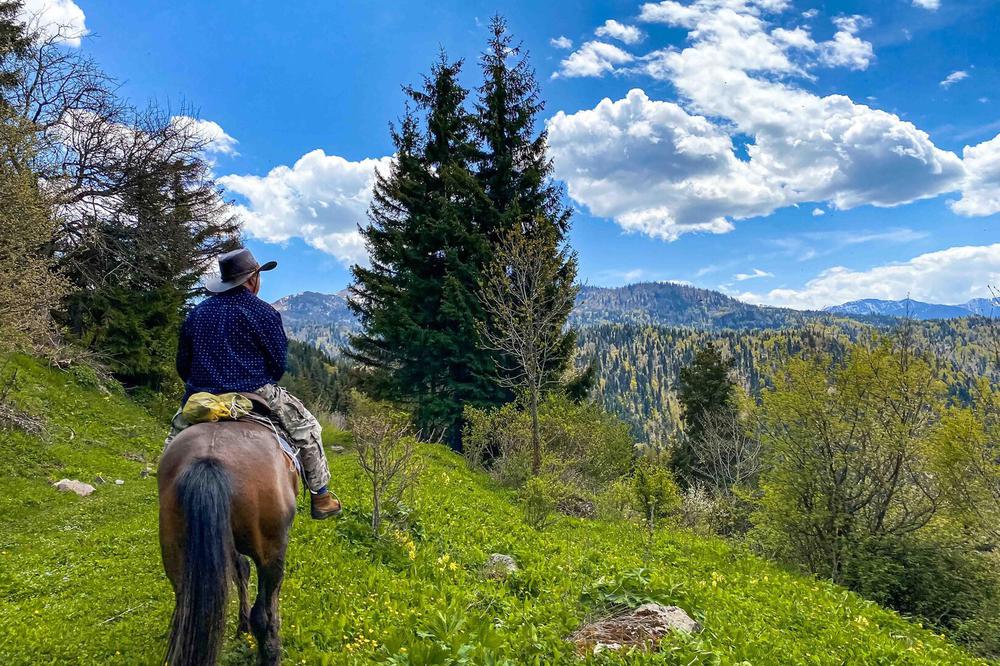 Experience Borjomi’s Beauty on a Private Guided Horse Ride