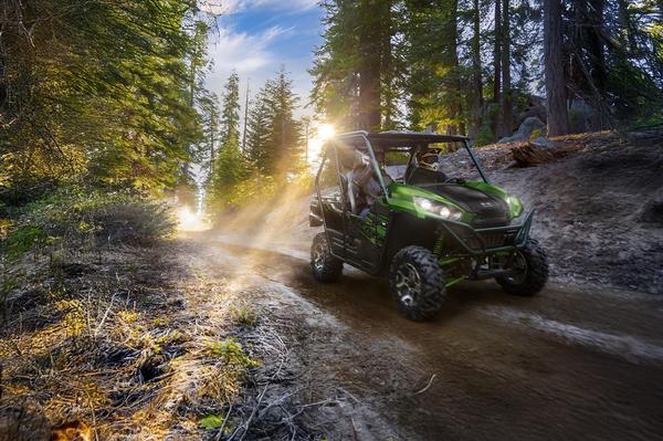 Private four-seater buggy ride, mineral springs, and scenic mountain trails