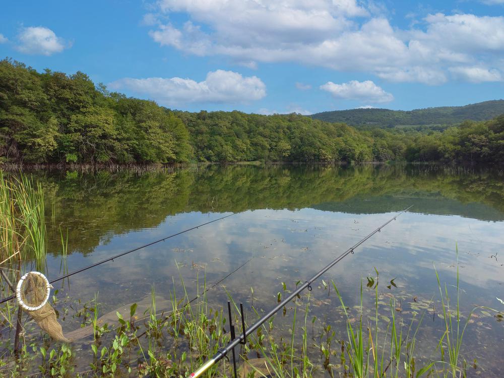Lakbe Reservoir: Nature's Masterpiece in Kakheti