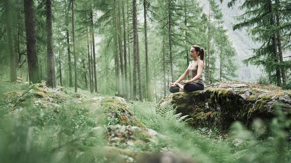 Forest Bathing in Borjomi-Kharagauli National Park