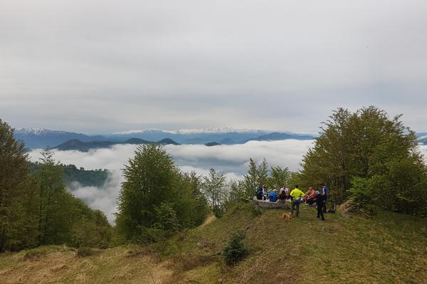 Over the Clouds in Mtirala National Park