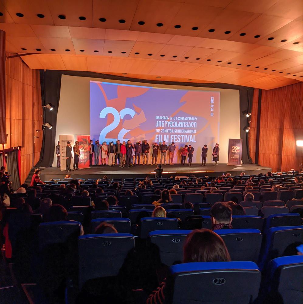 Georgian Film Screenings: Showcasing Cinema's Evolution on the Global Stage