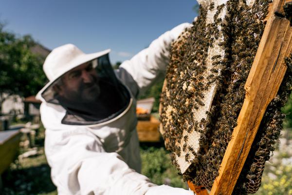 Georgian Beekeeper