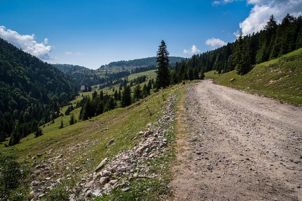 Goderdzi Pass: Scenic Mountain Road in Georgia