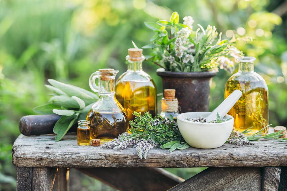 Georgian Aromatherapy: Discovering Wellness Through Local Herbs