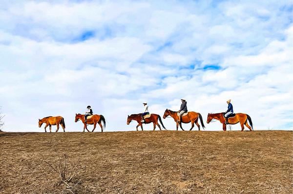 Horse Riding Tour on Trialeti Ridge