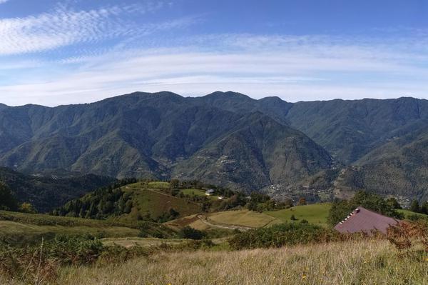 Mountains in Tbilisi National Park