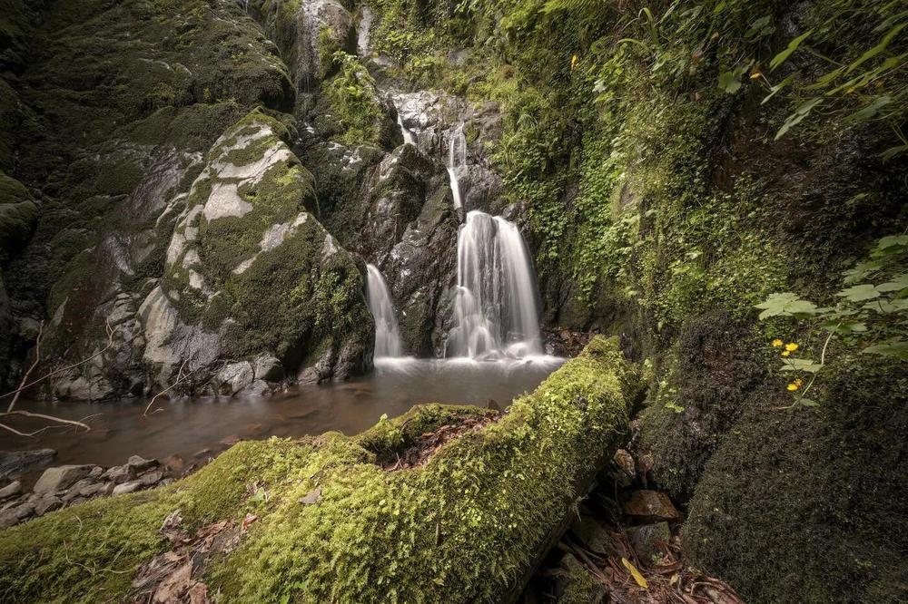 Kapnistavi Village: Hidden Waterfalls and Canyons Near Batumi