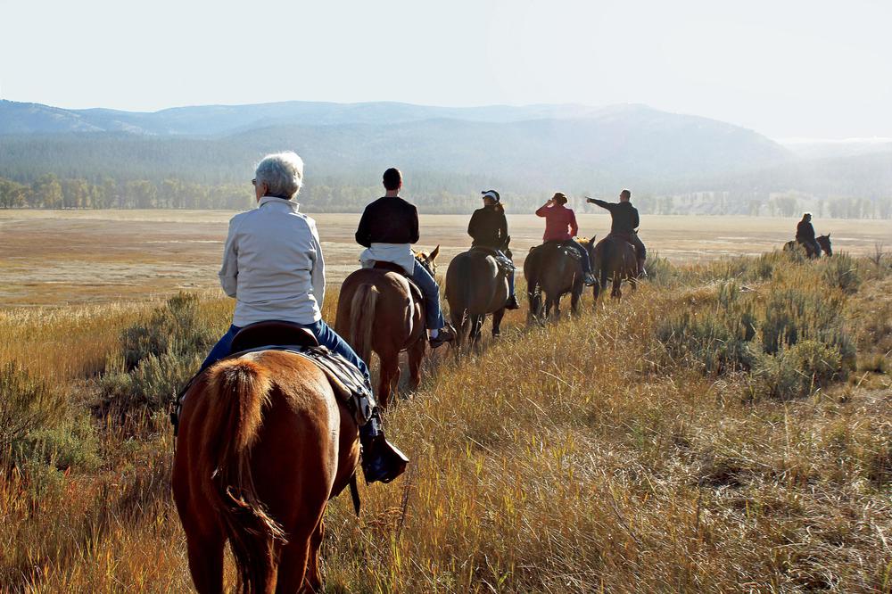 Private horseback tour from Tbilisi with lunch included