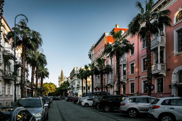 Batumi Downtown Street & Palm Trees