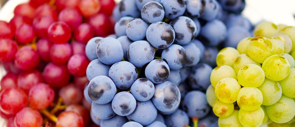 Top 15 Georgian Grape Varieties: Discover Georgia's Rich Viticulture