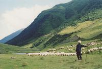 Alaznistavi Valley