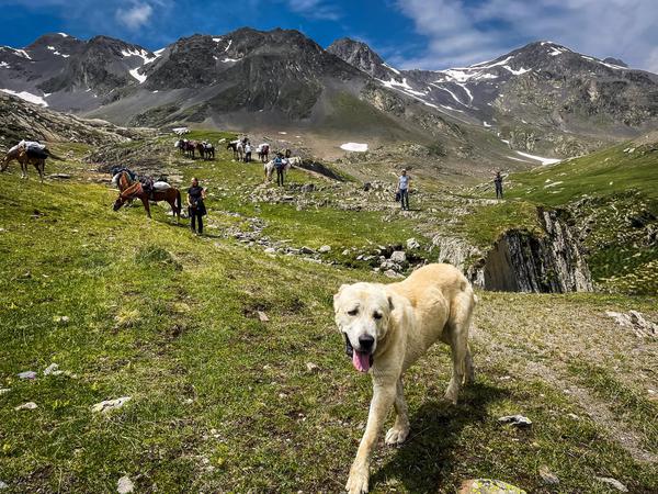 Discovering the Tusheti Mountains During Our Horseback Adventure