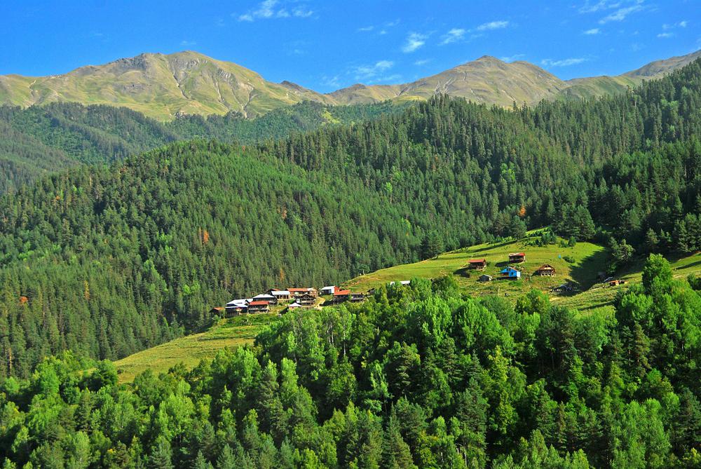 Kumelaurta Village: A Secluded Mountain Haven in Tusheti, Kakheti