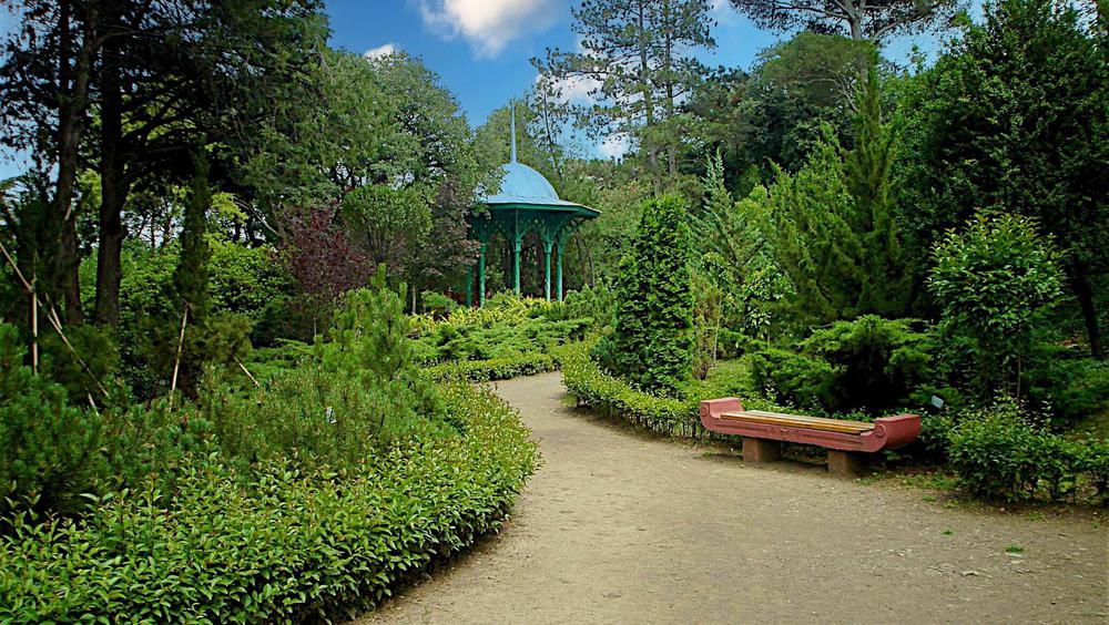 National Botanical Garden of Georgia: A Biodiversity Haven in Tbilisi