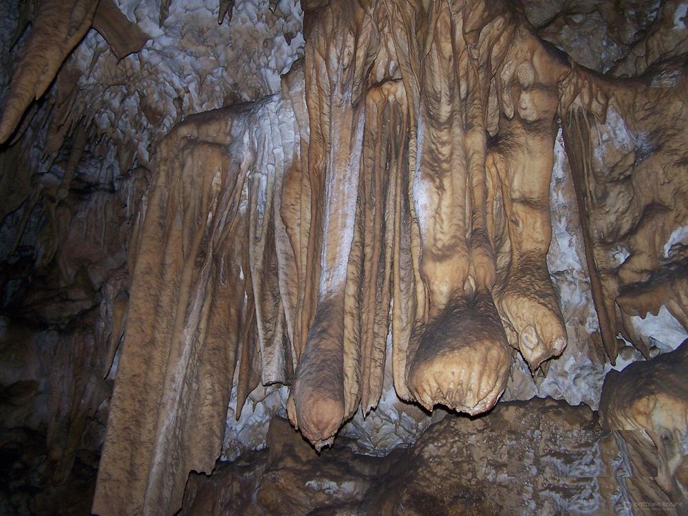 Sakazhia Cave: A Portal to Prehistoric Puzzles