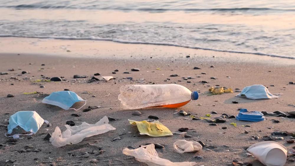 Beach Clean-up Efforts in Georgia's Black Sea - Environmental Initiatives and Impact