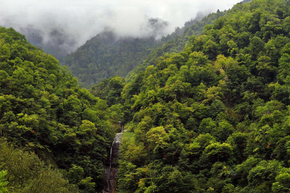 Machakhela National Park: Adventure in Georgia’s Hidden Wilderness