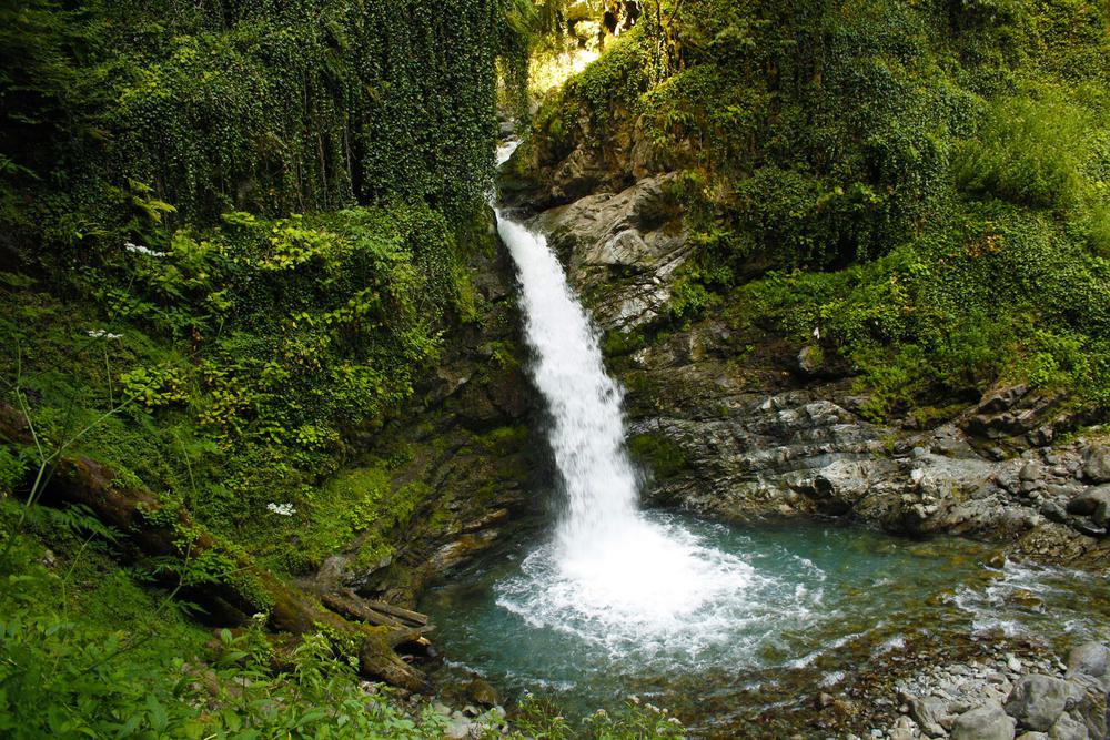 Black Grouse Waterfall: Kakheti’s Nature-Painted Marvel!