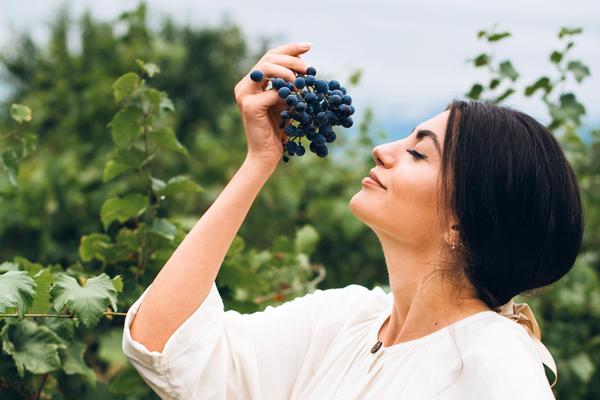 Experience the joy of harvest in the heart of Georgian wine country