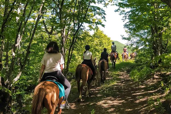 Horse Riding Experience on Trialeti Ridge