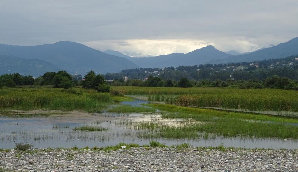 Chorokhi Delta: A Birdwatcher's Haven at Risk