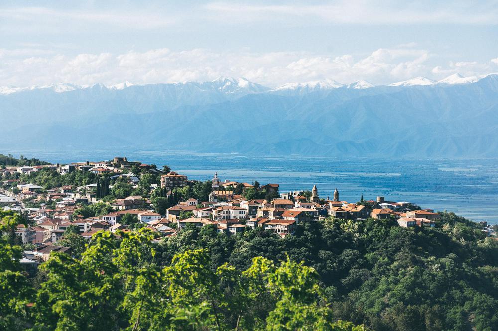 Discover Alazani Valley: A Comprehensive Guide to Georgia's Historic Wine Region
