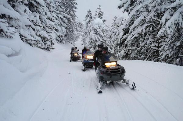 Explore the beauty of Bakuriani with our introductory snowmobile tour!