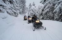 Bakuriani Snowmobile Tour (Light Version)