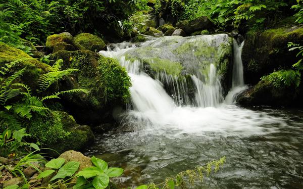 River in Mtirala National Park in Georgia