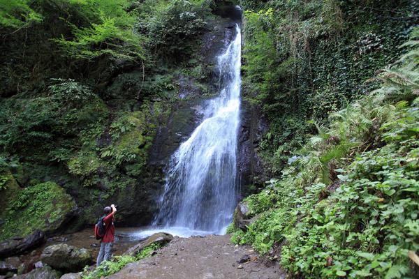 Waterfall at Mtirala National Park